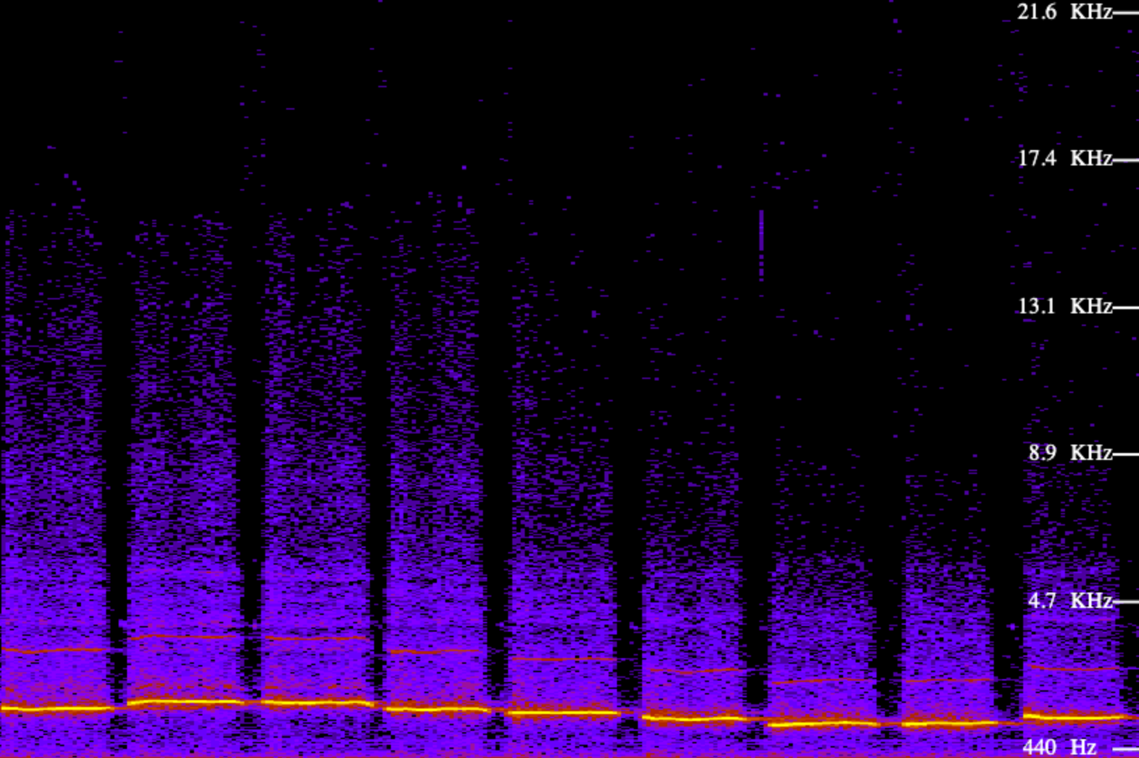 Output from an audio spectrum analyzer tool that provides a graph of all the frequencies that are present in a sound recording.